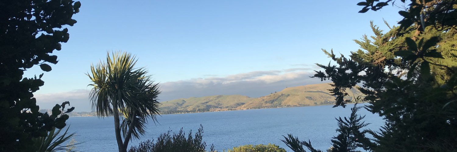 MeekyTom's profile banner image