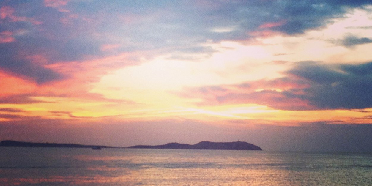 Colette Stanton banner