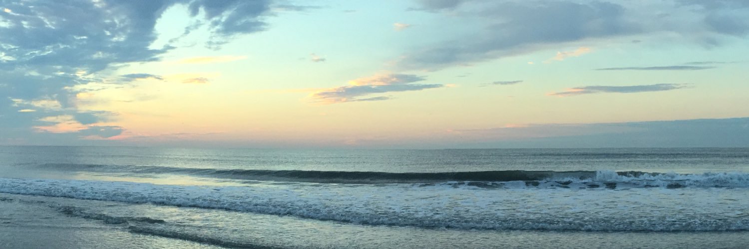 torimuller11's profile banner image