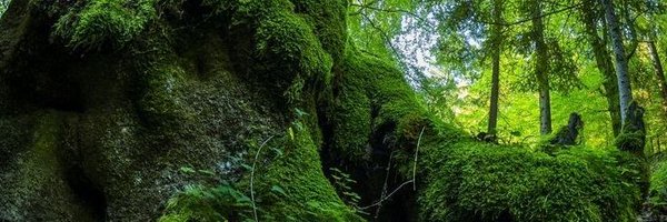 bratudor Profile Banner