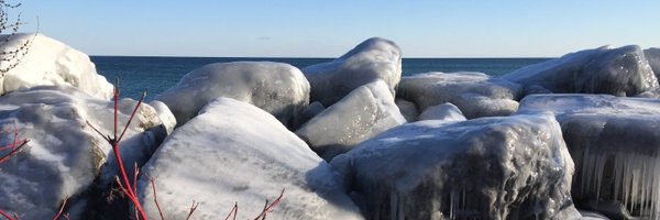 DrJenRyan1 Profile Banner