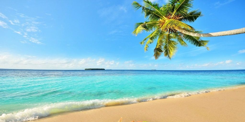 gabbatecola's profile banner image