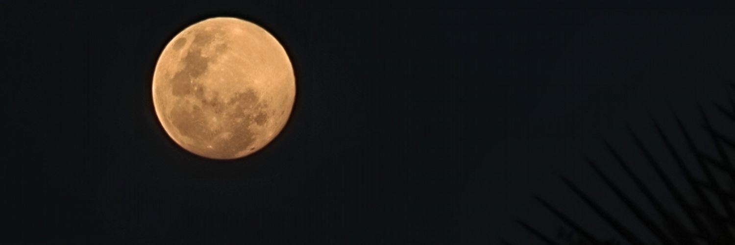 TheCryptoPope banner