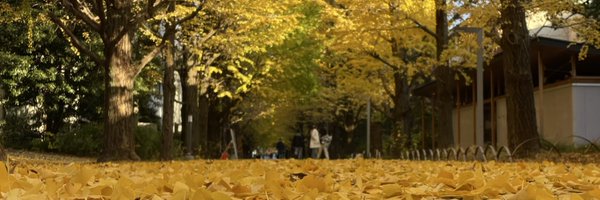 KouyaS7 Profile Banner