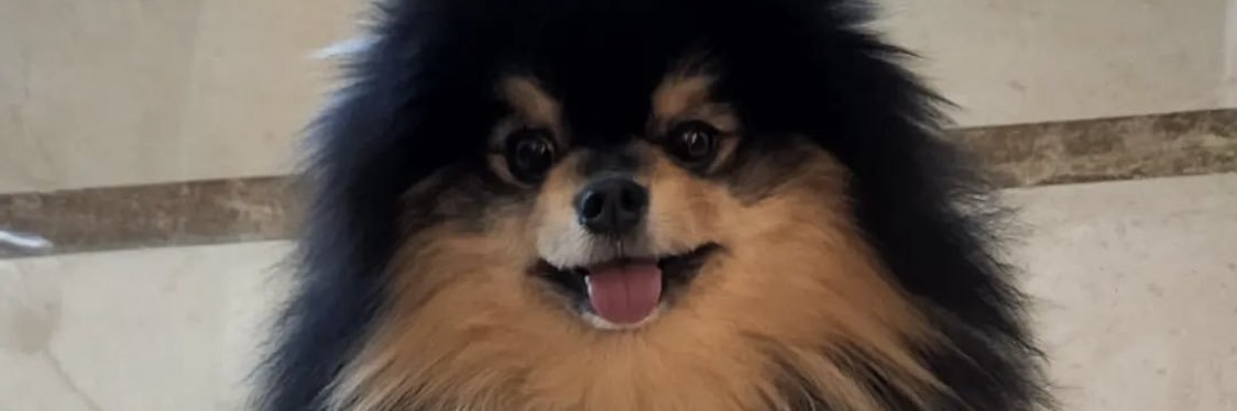 DayuPidada's profile banner image