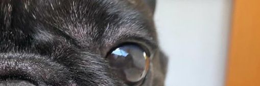 Leandroaalm's profile banner image