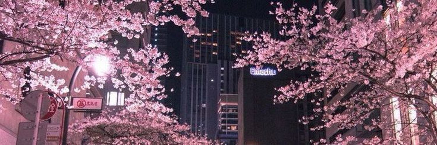 Suzanna Cutie's banner