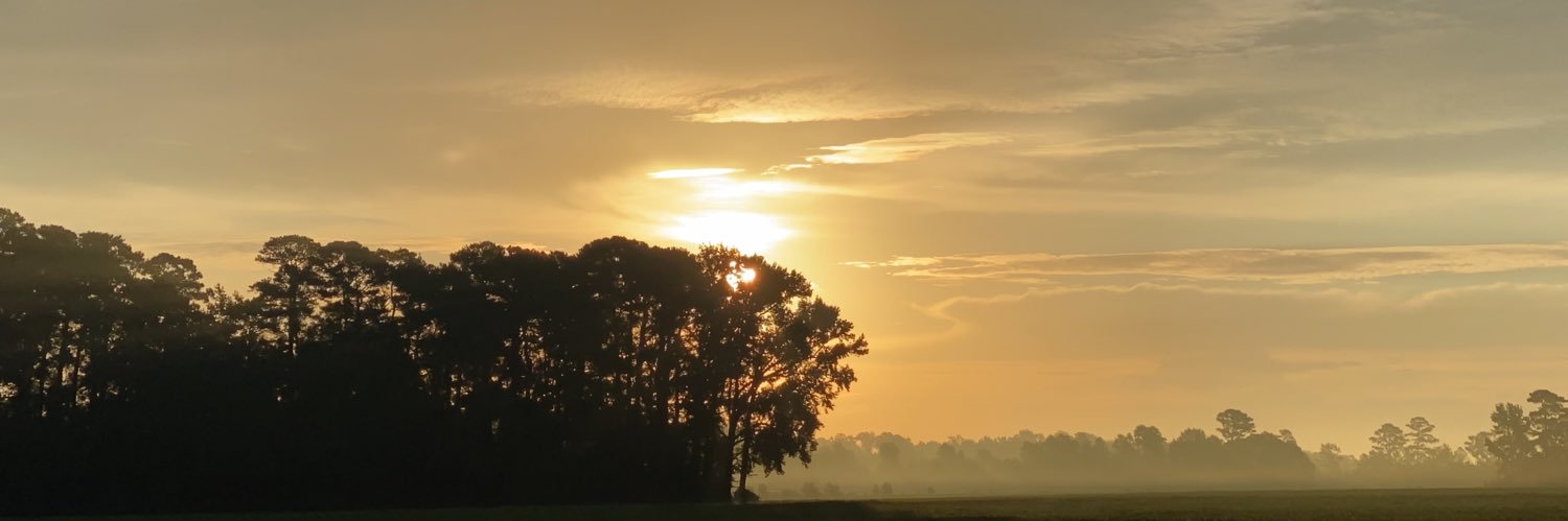 MJsmom03's profile banner image