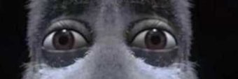 Adanker banner