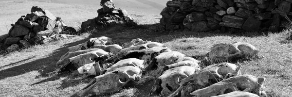 Ptwohig Profile Banner