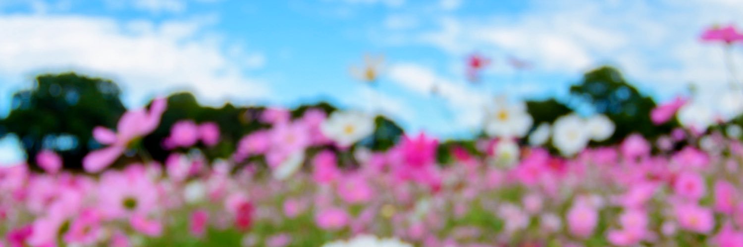yooo_ceee's profile banner image