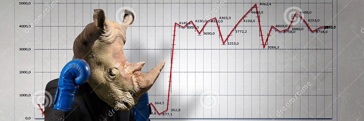Rino da Bolsa banner