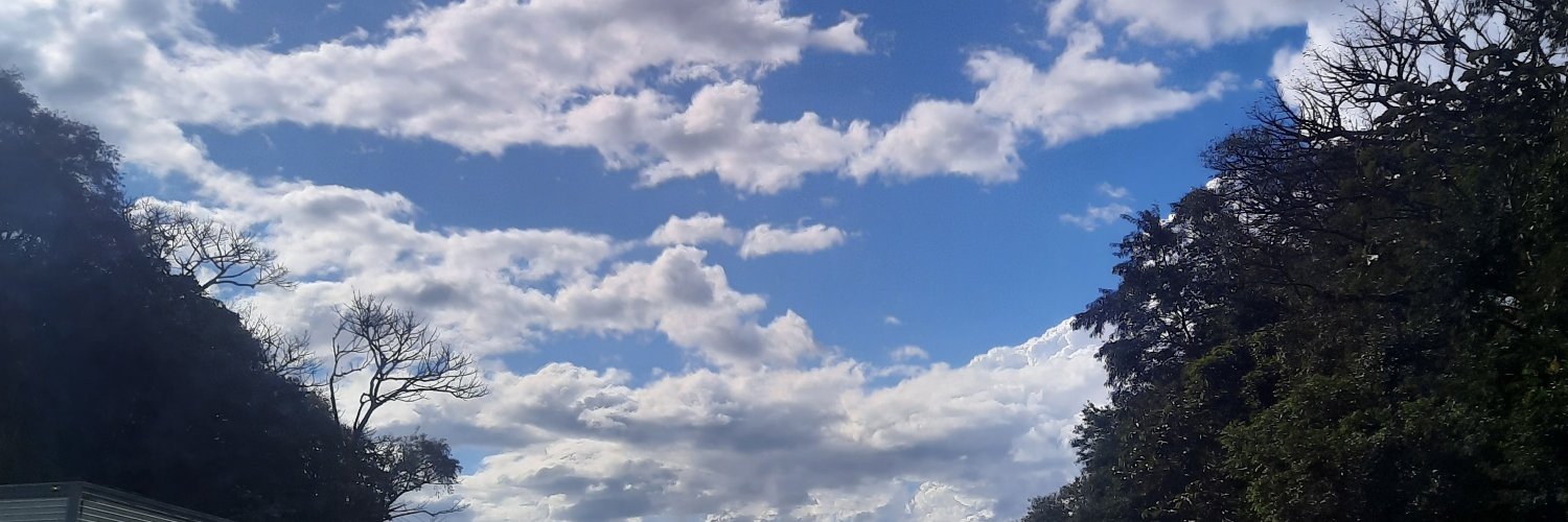 aliesalles's profile banner image