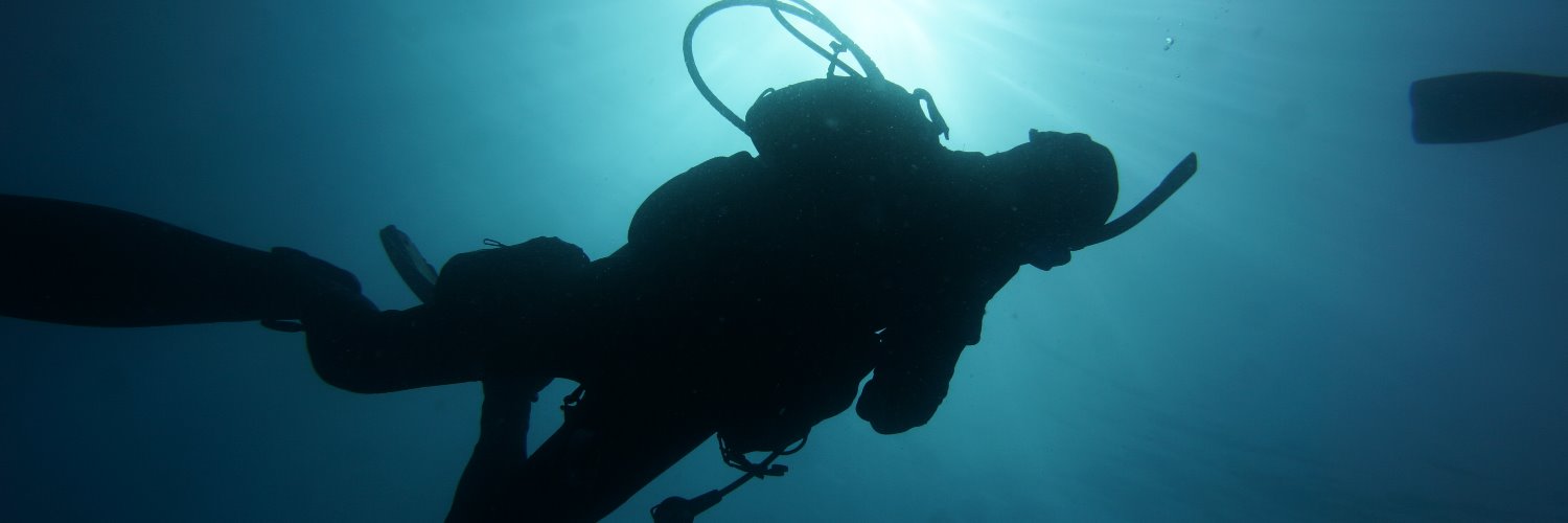 TRIBALDIVE's profile banner image