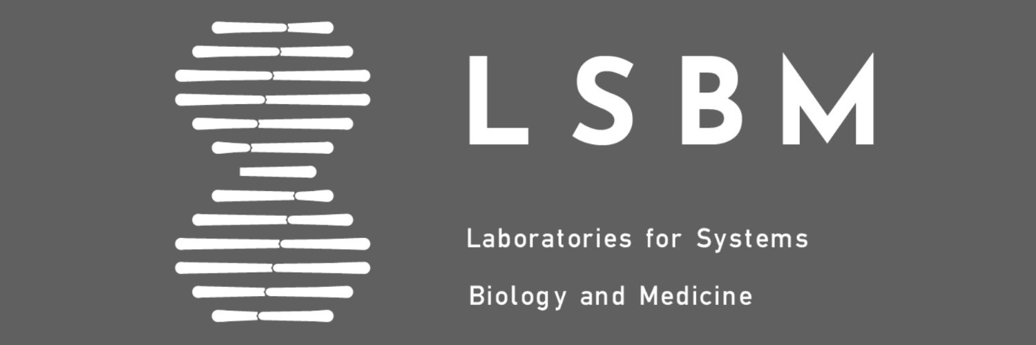 LSBM9's profile banner image