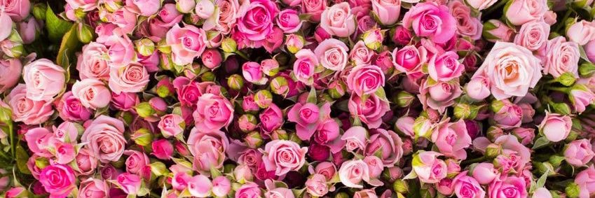 hbkpatty's profile banner image
