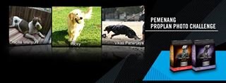 RickyXava's profile banner image