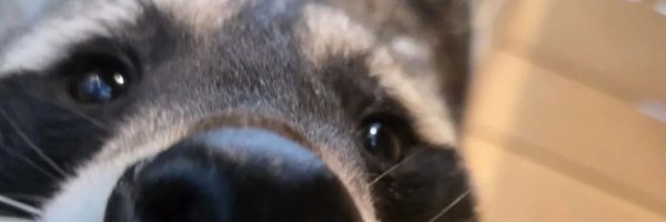 uh0ns2 Profile Banner