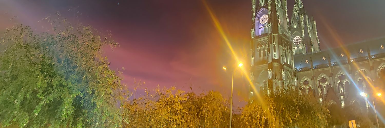 maluvici's profile banner image