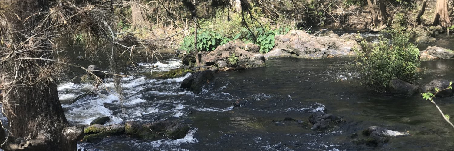 Marcia Barber banner