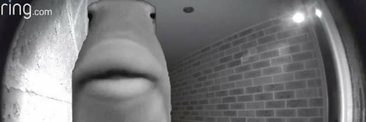CrackerInnaRoom's profile banner image