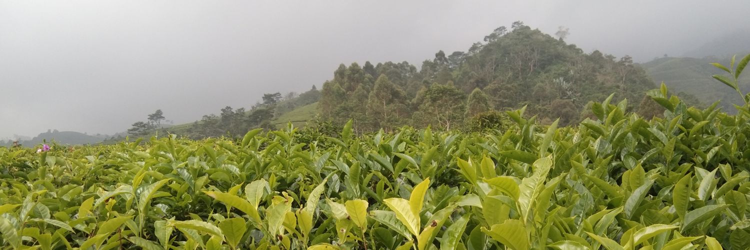hengwan06's profile banner image