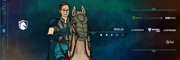NINJA_vlr Profile Banner