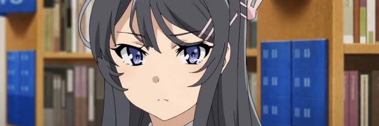 フランシスコ banner