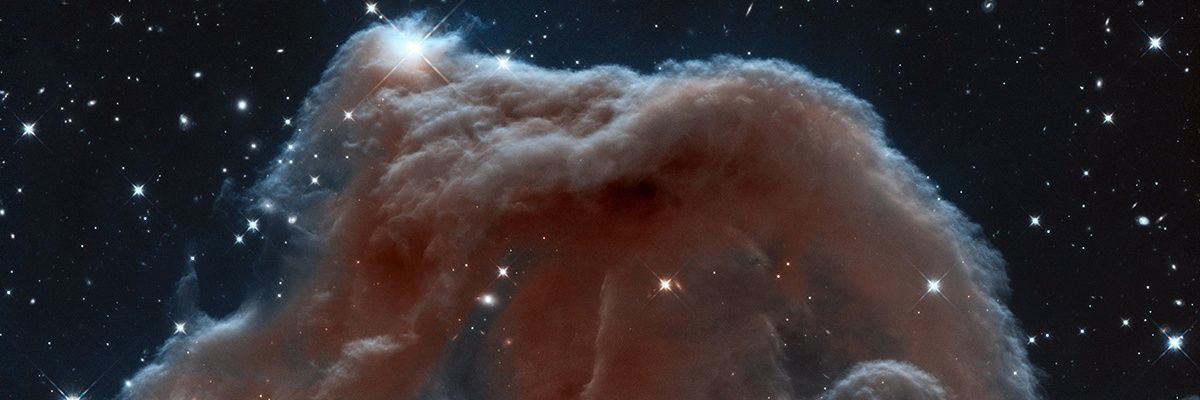 muceltvn's profile banner image