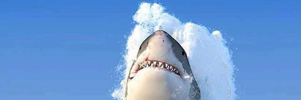 slick2160's profile banner image
