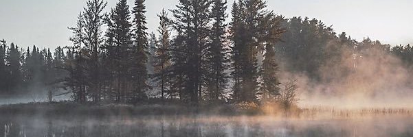 Resilient in Solitude banner
