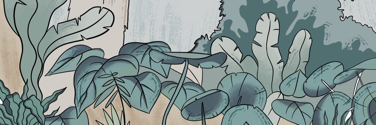 Momo banner