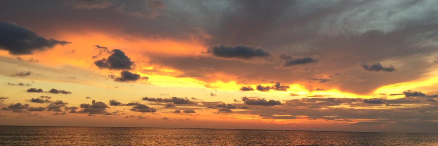 ConnorScherrer's profile banner image