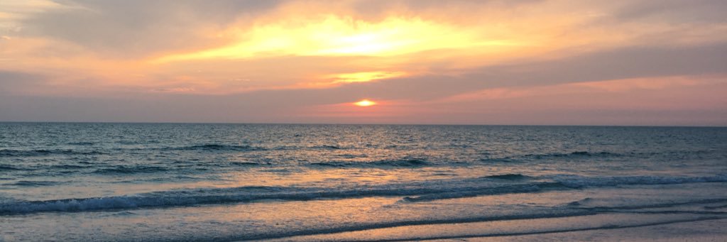 amyann61's profile banner image