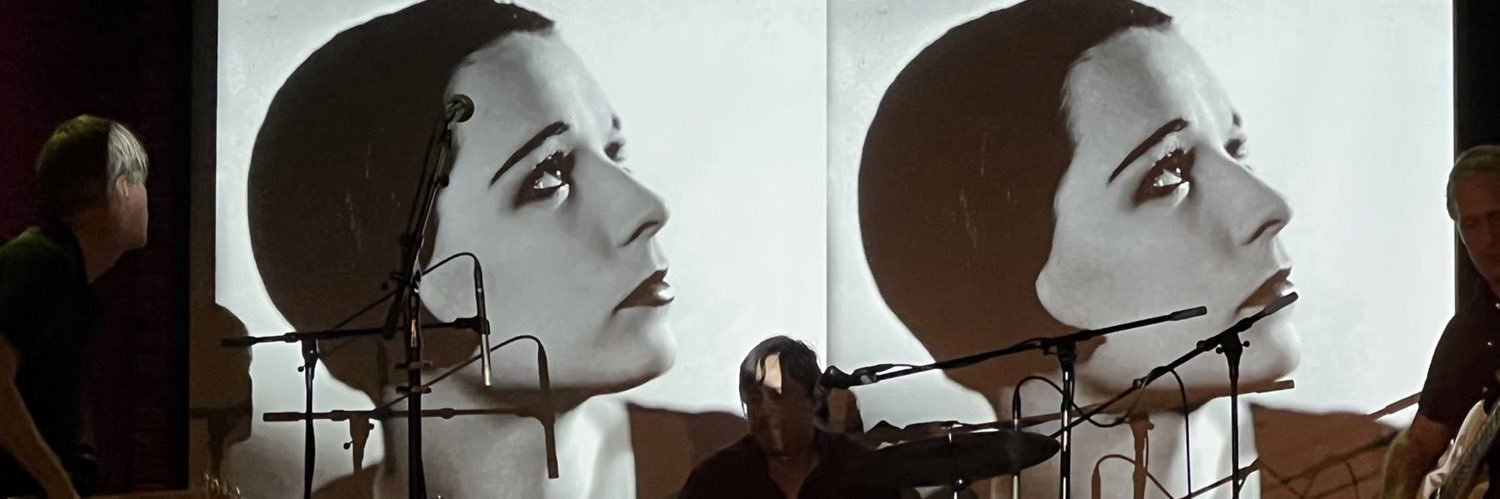 The Steve Leo banner