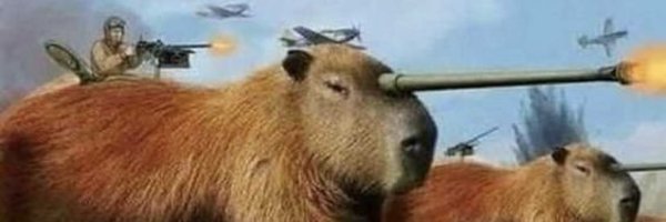 cappytude Profile Banner