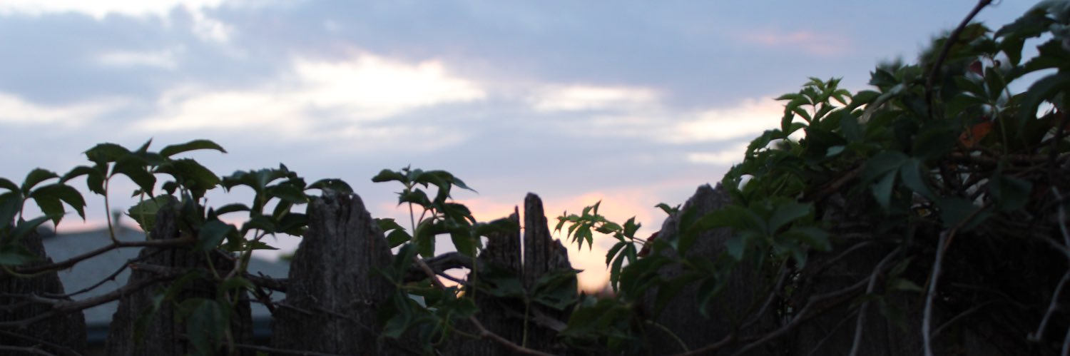 AddiSuenram's profile banner image