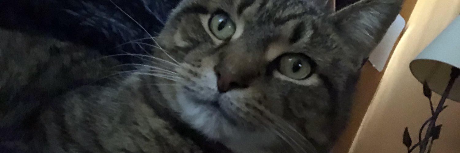 borderlinemean's profile banner image