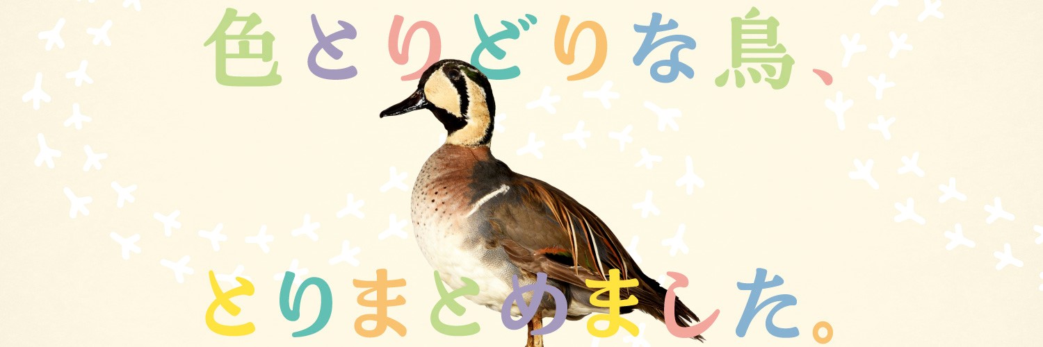 【公式】特別展「鳥」 banner