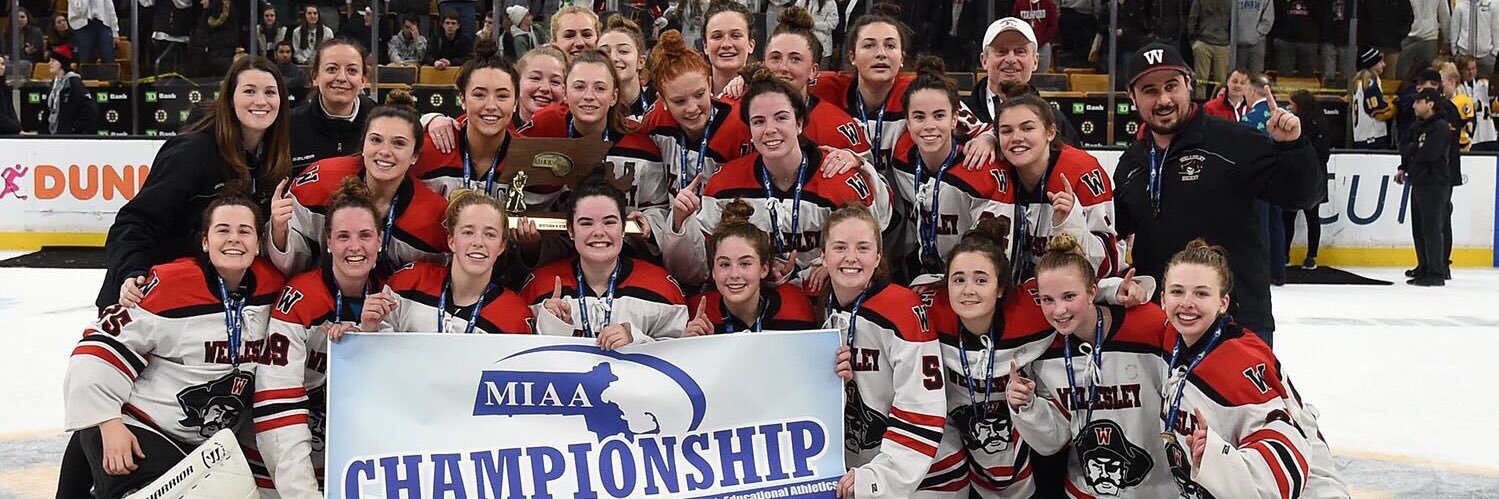 WHS Raiders Hockey banner