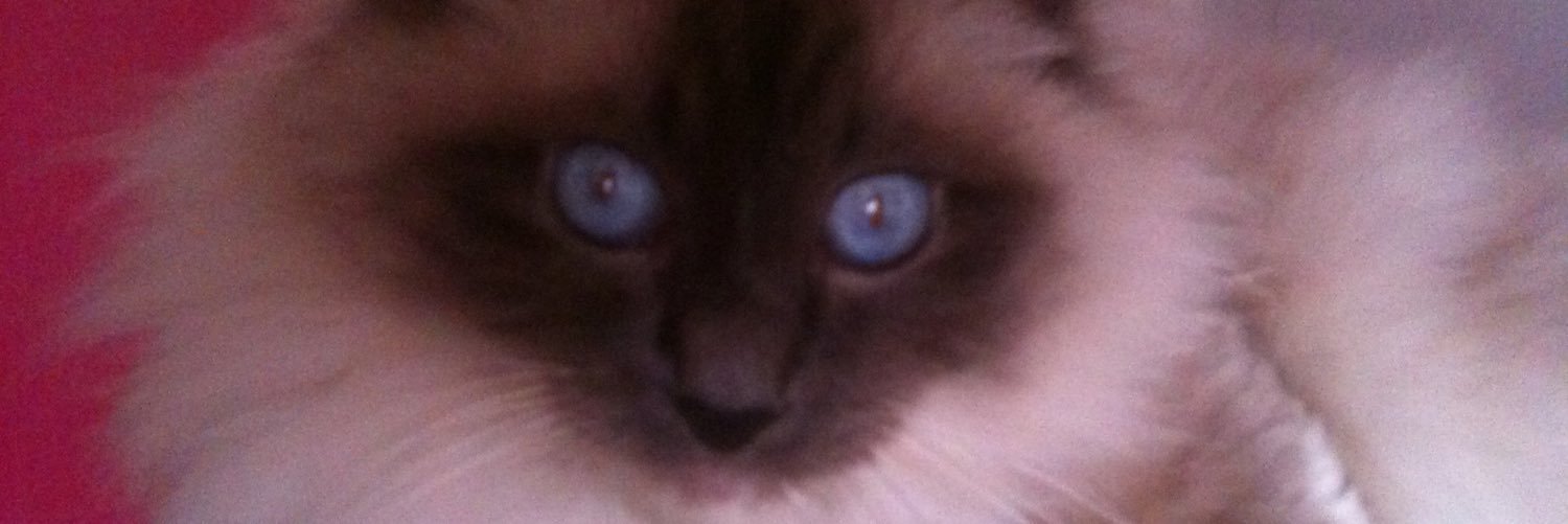So_Sunda's profile banner image