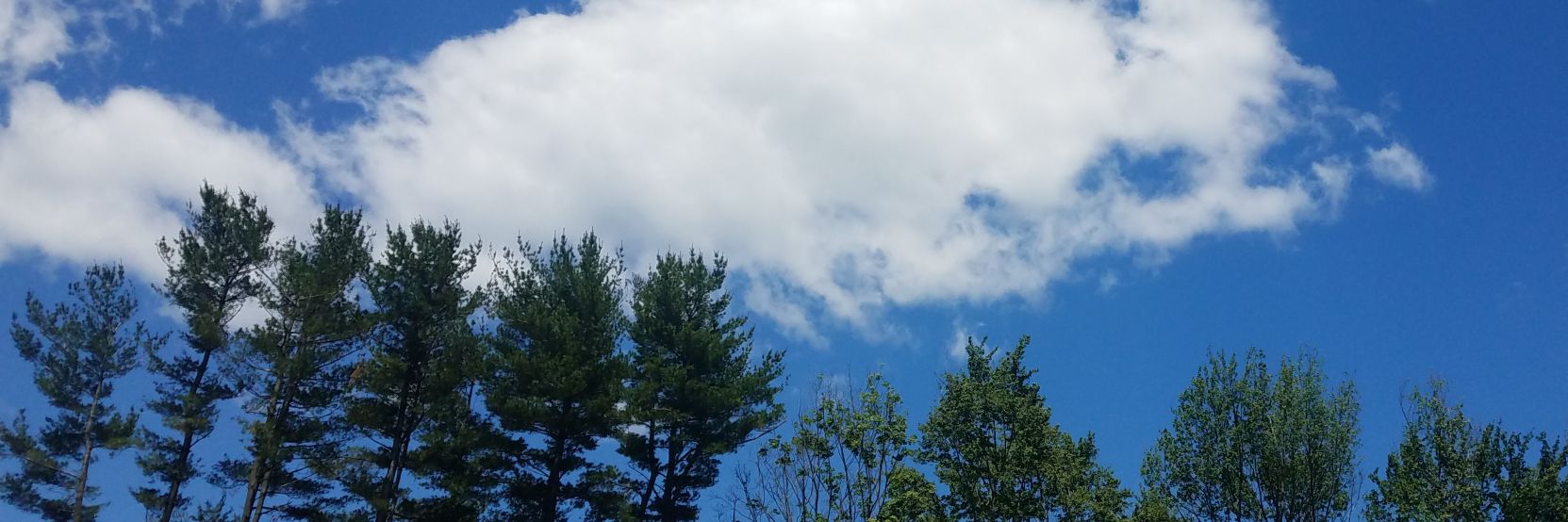 Beebles32's profile banner image