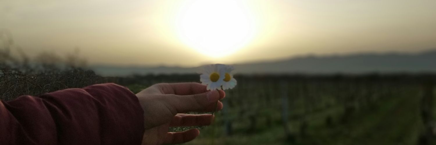 Ozanguldrn's profile banner image