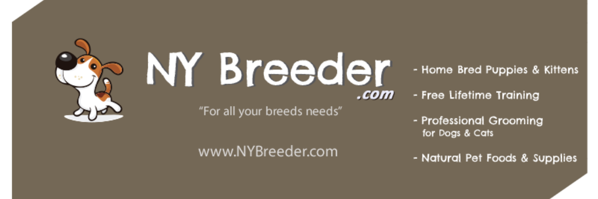 NYBreeder's profile banner image