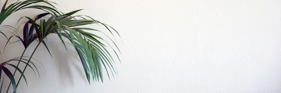 Friendly Music banner