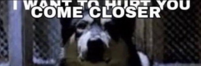 TMBTalkingHeads's profile banner image