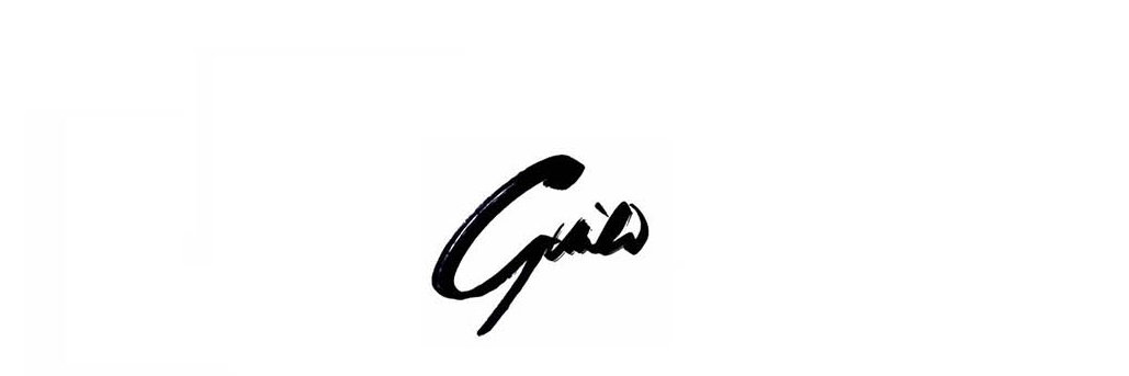 Guido™️'s banner