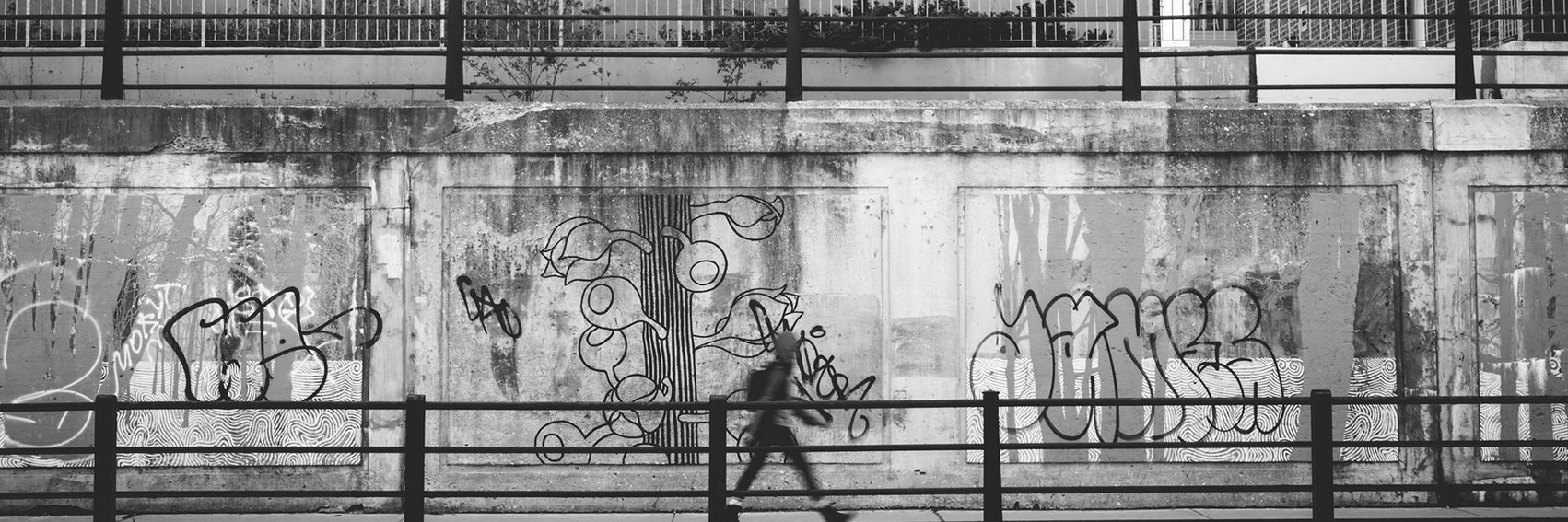 Hale Coffee Company banner