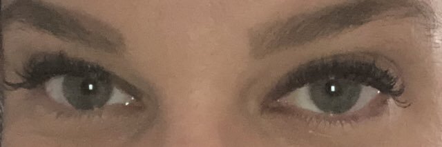 Michelle Roche R. banner