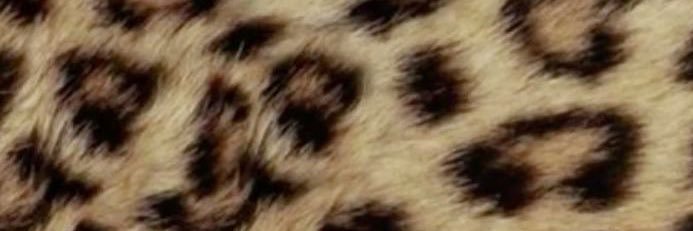 SuperDuperTiffs's profile banner image